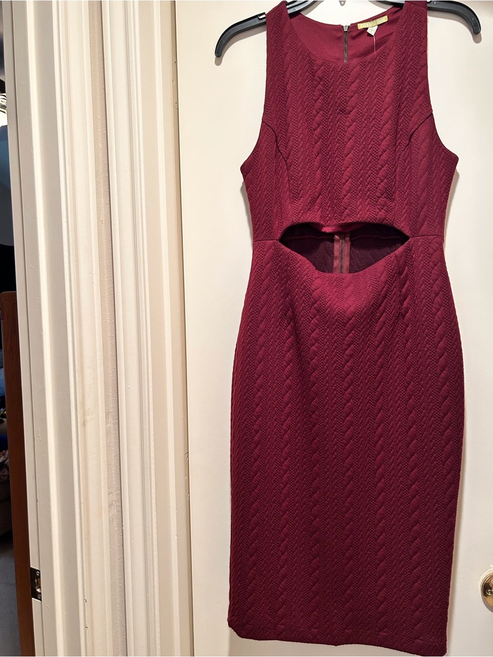 Gianni Bini Burgundy Textured Cutout Mini Dress